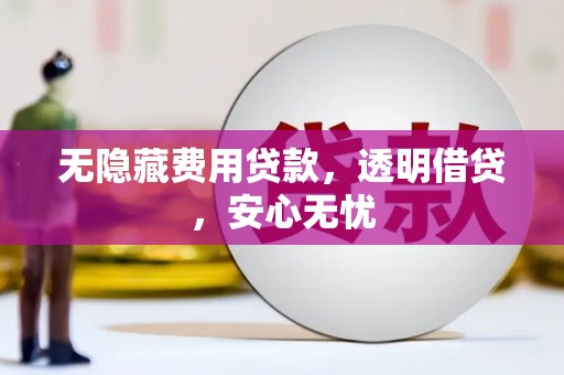 绥中无隐藏费用贷款，透明借贷，安心无忧