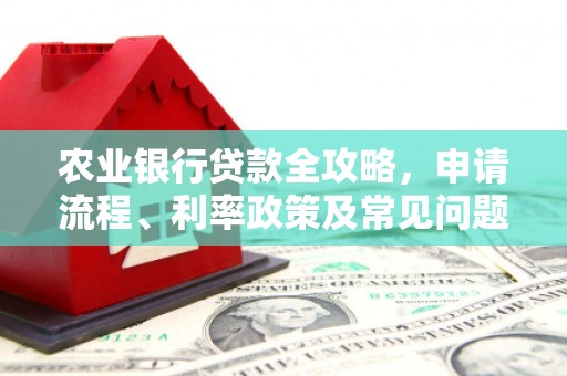 绥中农业银行贷款全攻略，申请流程、利率政策及常见问题解析