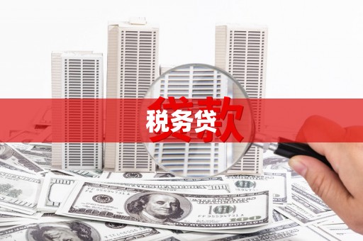 绥中税务贷