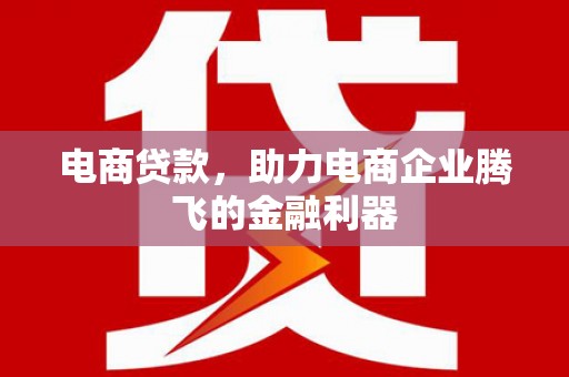 绥中电商贷款，助力电商企业腾飞的金融利器