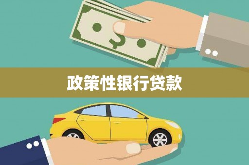 绥中政策性银行贷款