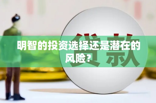 绥中明智的投资选择还是潜在的风险？