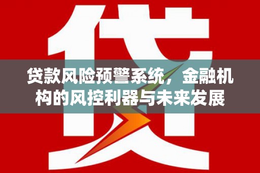 绥中贷款风险预警系统，金融机构的风控利器与未来发展