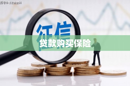 绥中贷款购买保险