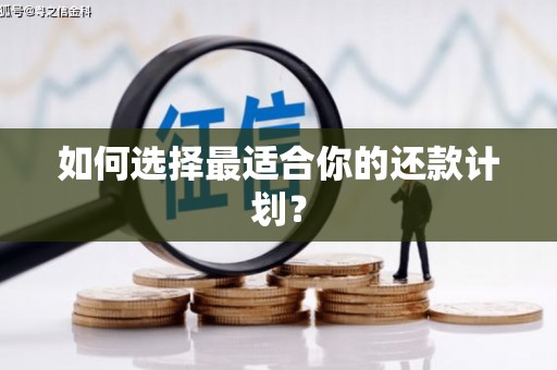 绥中如何选择最适合你的还款计划？