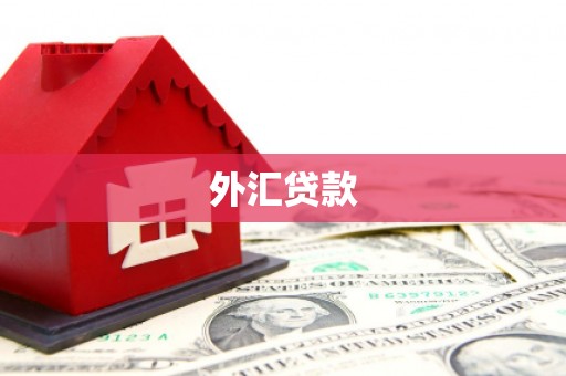 绥中外汇贷款