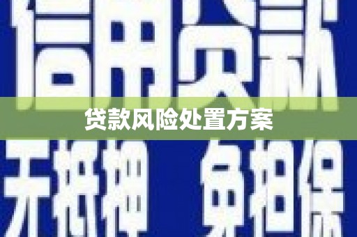 绥中贷款风险处置方案