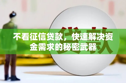 绥中不看征信贷款，快速解决资金需求的秘密武器