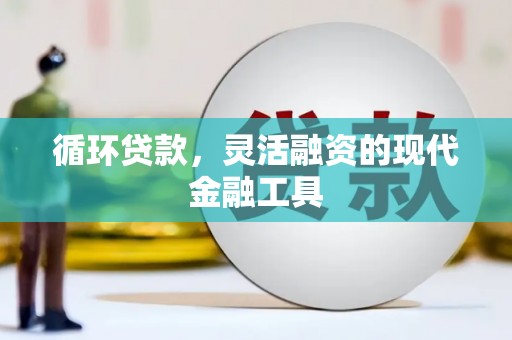 绥中循环贷款，灵活融资的现代金融工具