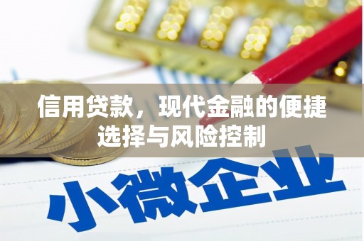 绥中信用贷款，现代金融的便捷选择与风险控制