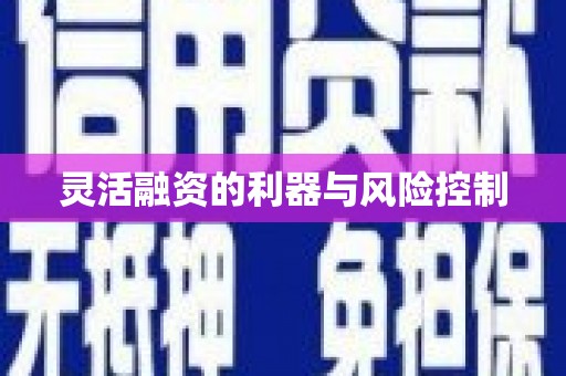 绥中灵活融资的利器与风险控制