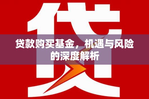 绥中贷款购买基金，机遇与风险的深度解析