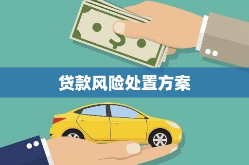 绥中贷款风险处置方案