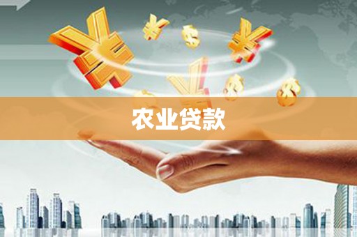 绥中农业贷款