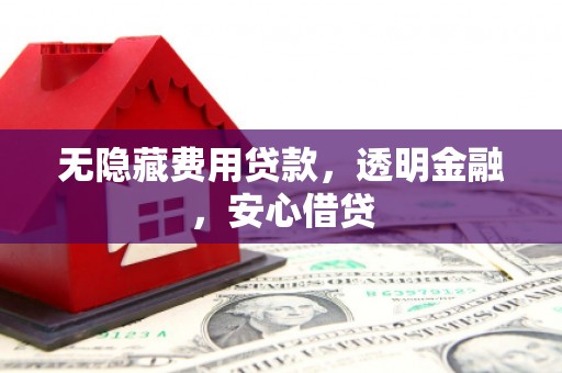 绥中无隐藏费用贷款，透明金融，安心借贷