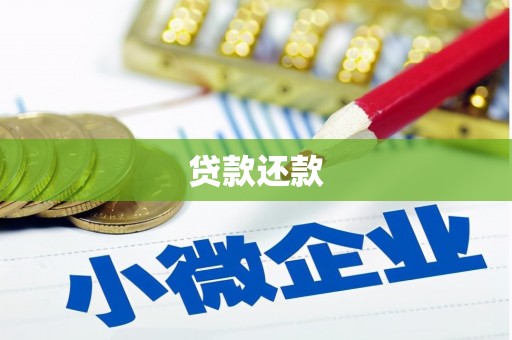 绥中贷款还款
