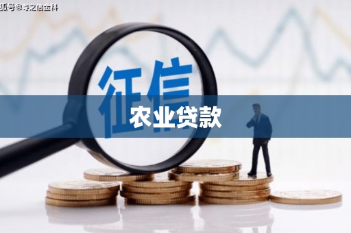 绥中农业贷款