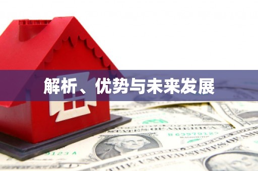 绥中解析、优势与未来发展