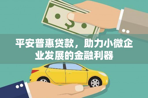 绥中平安普惠贷款，助力小微企业发展的金融利器