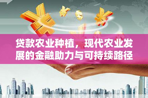 绥中贷款农业种植，现代农业发展的金融助力与可持续路径