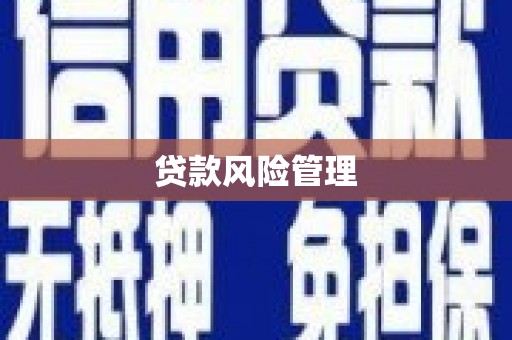 绥中贷款风险管理