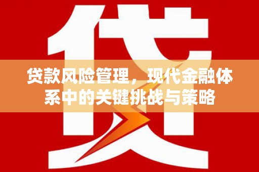 绥中贷款风险管理，现代金融体系中的关键挑战与策略