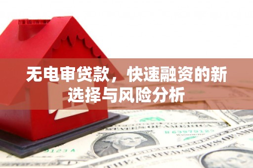 绥中无电审贷款，快速融资的新选择与风险分析
