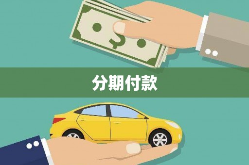 绥中分期付款