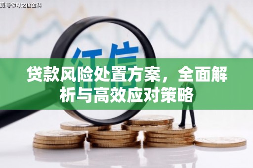 绥中贷款风险处置方案，全面解析与高效应对策略