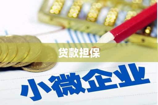 绥中贷款担保