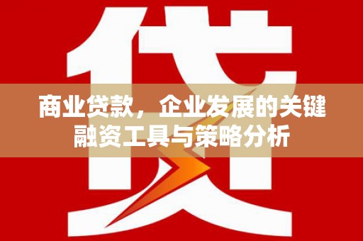 绥中商业贷款，企业发展的关键融资工具与策略分析