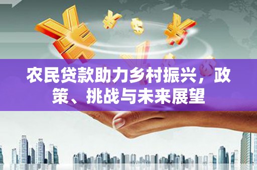 绥中农民贷款助力乡村振兴，政策、挑战与未来展望
