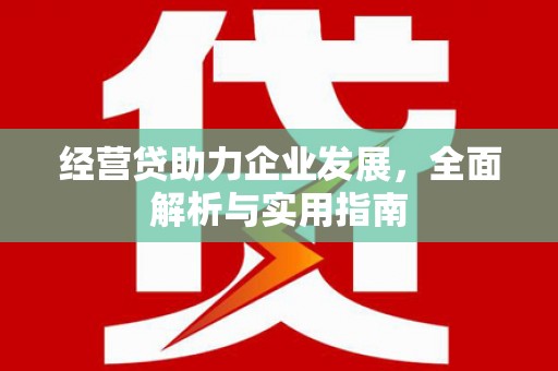 绥中经营贷助力企业发展，全面解析与实用指南