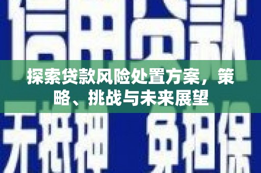 绥中探索贷款风险处置方案，策略、挑战与未来展望