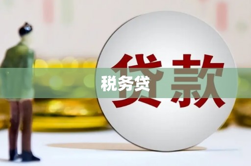 绥中税务贷