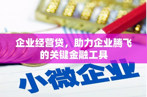 绥中企业经营贷，助力企业腾飞的关键金融工具