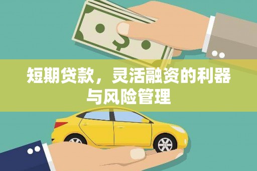 绥中短期贷款，灵活融资的利器与风险管理