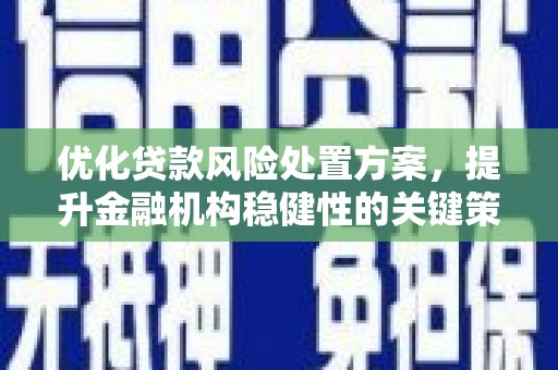 绥中优化贷款风险处置方案，提升金融机构稳健性的关键策略