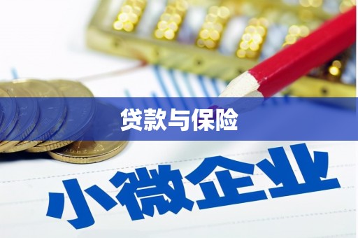 绥中贷款与保险