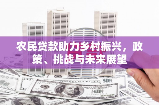 绥中农民贷款助力乡村振兴，政策、挑战与未来展望
