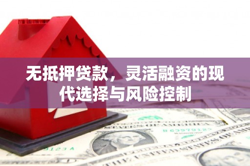 绥中无抵押贷款，灵活融资的现代选择与风险控制
