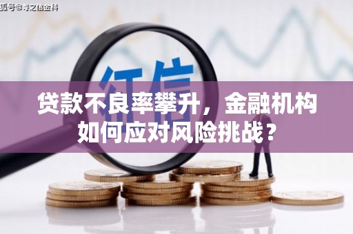 绥中贷款不良率攀升，金融机构如何应对风险挑战？