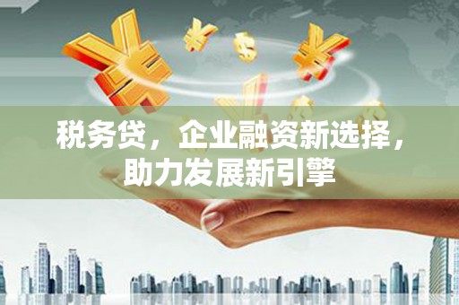 绥中税务贷，企业融资新选择，助力发展新引擎