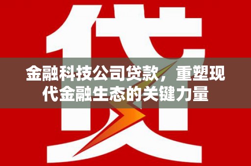 绥中金融科技公司贷款，重塑现代金融生态的关键力量