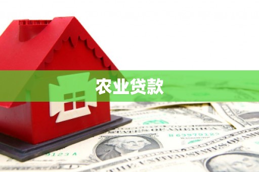 绥中农业贷款