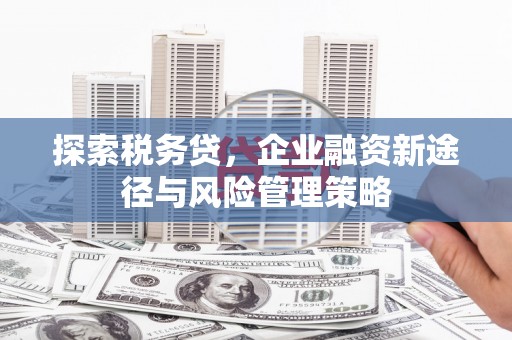 绥中探索税务贷，企业融资新途径与风险管理策略