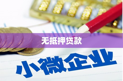 绥中无抵押贷款