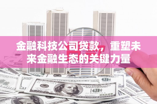 绥中金融科技公司贷款，重塑未来金融生态的关键力量
