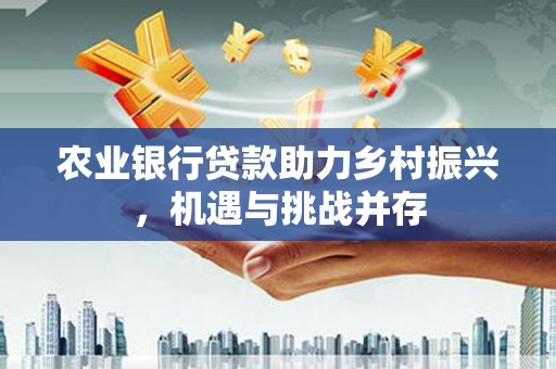 绥中农业银行贷款助力乡村振兴，机遇与挑战并存