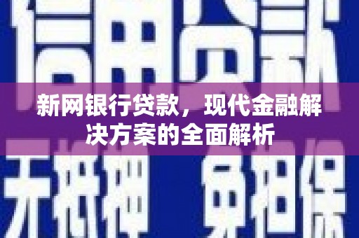 绥中新网银行贷款，现代金融解决方案的全面解析